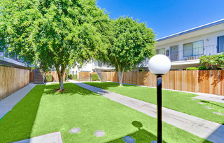 Lush Landscaping courtyard with 2 large trees