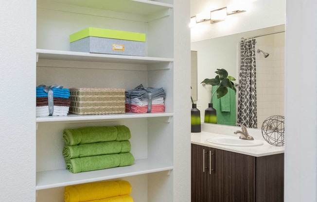 a bathroom with shelves and a sink and a mirror