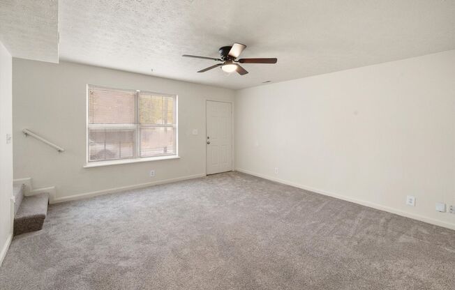 Three Bedroom House With Brand New Carpet