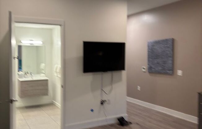 Studio, 1 bath, 389 sqft, $1,599, Unit 210