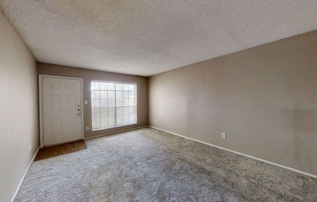 Colony of San Marcos