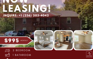 Beautifully Updated Apartments Next to Austin Peay!