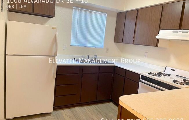 1008 ALVARADO DR SE
