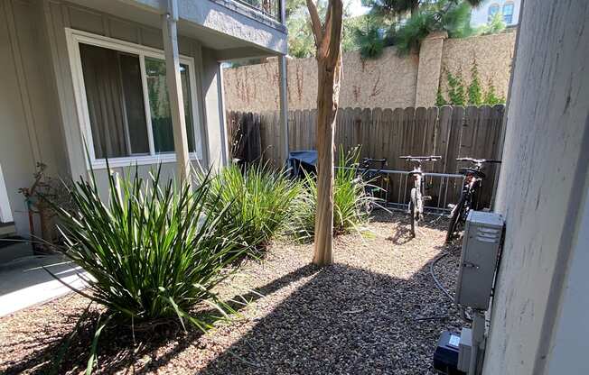 the side yard of a house with a tree and a bike parked next to it