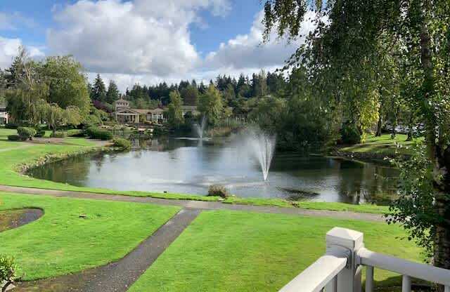 A fountain in the middle of a pond in a park.