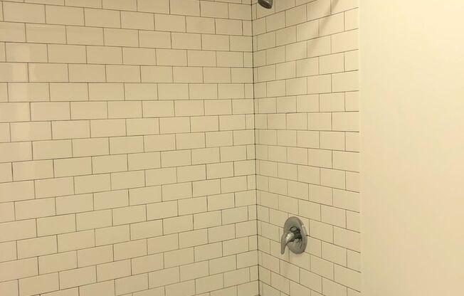 1 bed, 1 bath, $1,530, Unit 302