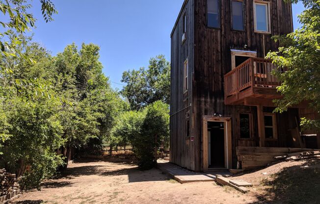 MOUNTAIN CABIN IN TOWN!  TOTALLY UNIQUE HOME FOR TOTALLY UNIQUE TENANTS!