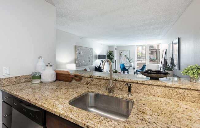 apartment kitchen and living room