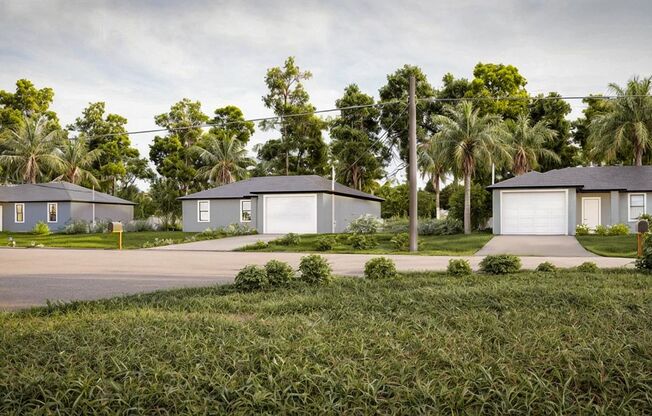 Brand-New Single-Family Home for Rent
