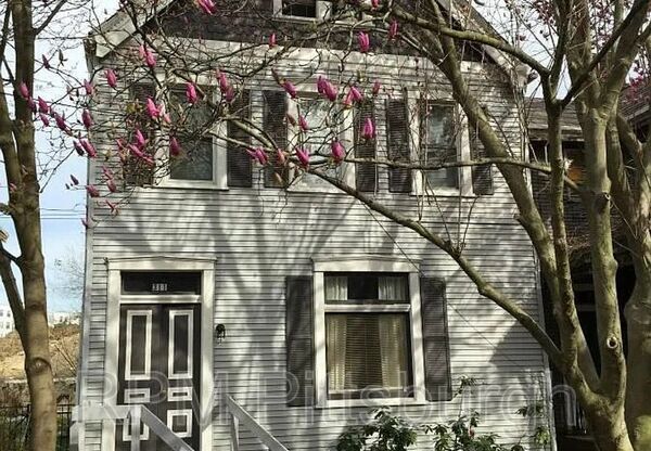 311 DENNISTON ST