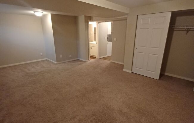 Studio, 1 bath, 550 sqft, $1,395