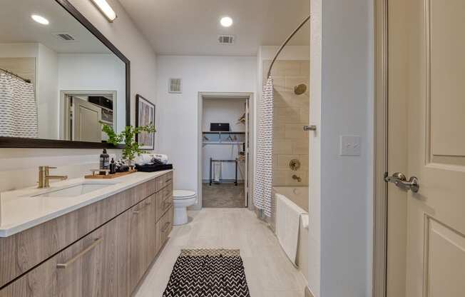 Luxurious Bathroom at Retreat at the Rim, San Antonio, TX