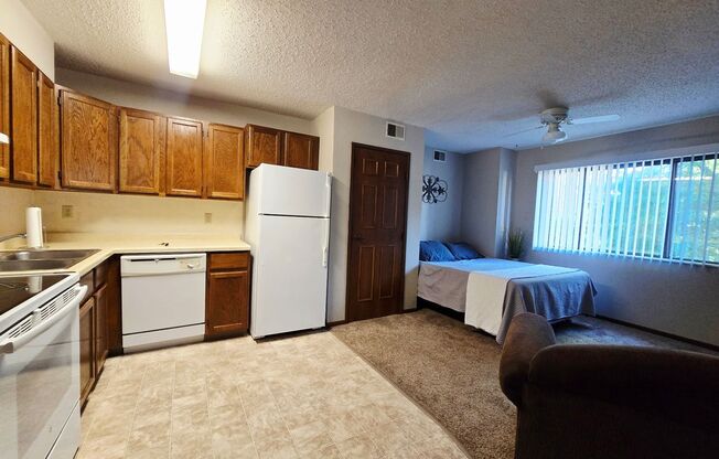 Studio, 1 bath, 350 sqft, $1,200, Unit island-3AF