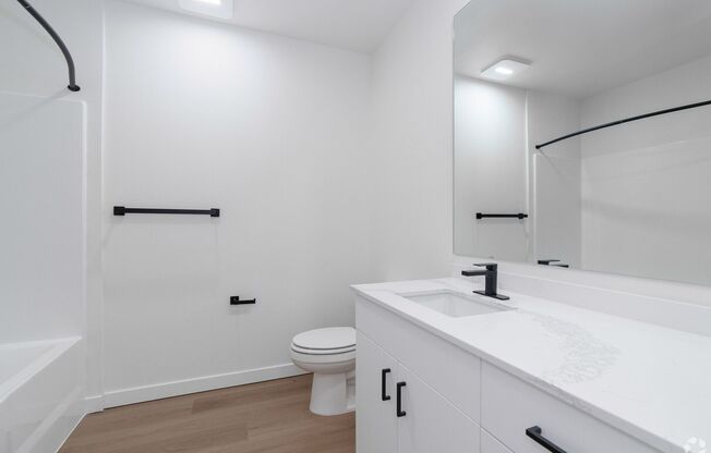 Studio, 1 bath, 433 sqft, $1,399, Unit Unit 313