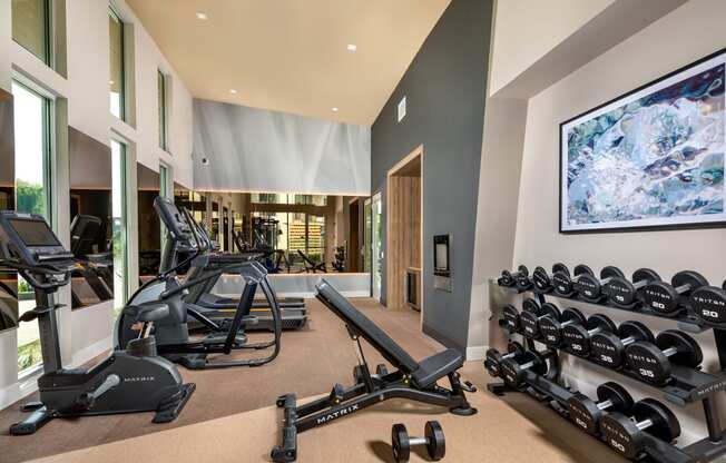 a gym with weights and a large tv on the wall
