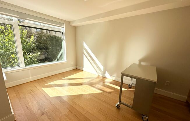 1 bed, 1 bath, $2,600, Unit 203