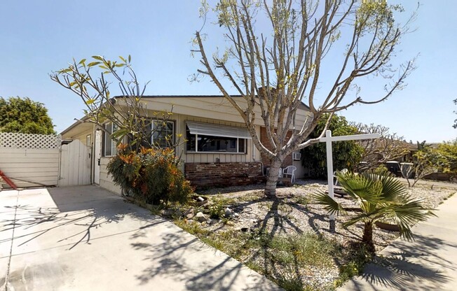 506 S Stewart Dr.