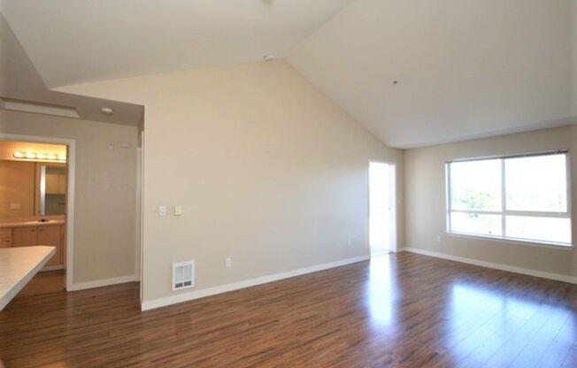 1 bed, 1 bath, 650 sqft, $1,650, Unit 307