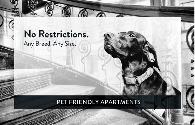 Highland Towers pet friendly