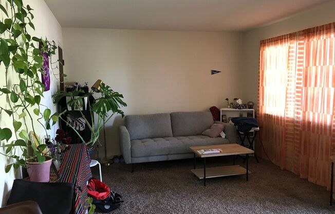 1 bed, 1 bath, 490 sqft, $1,625, Unit 1