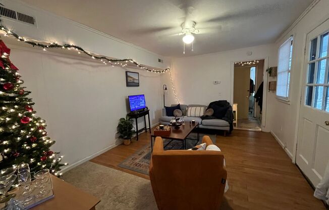 1 bed, 1 bath, $1,600, Unit Unit A