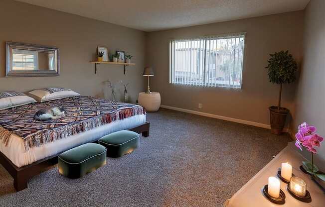 North Main Apartments