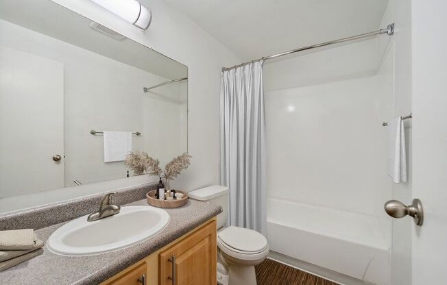Model bathroom with cedar vanity