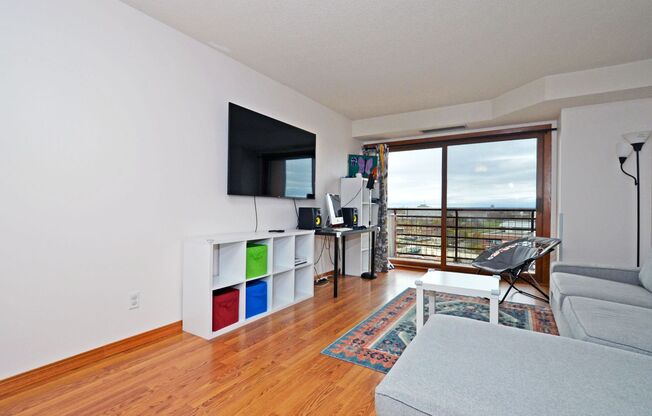 Exquisite Downtown St. Paul Condo with Breathtaking Views!