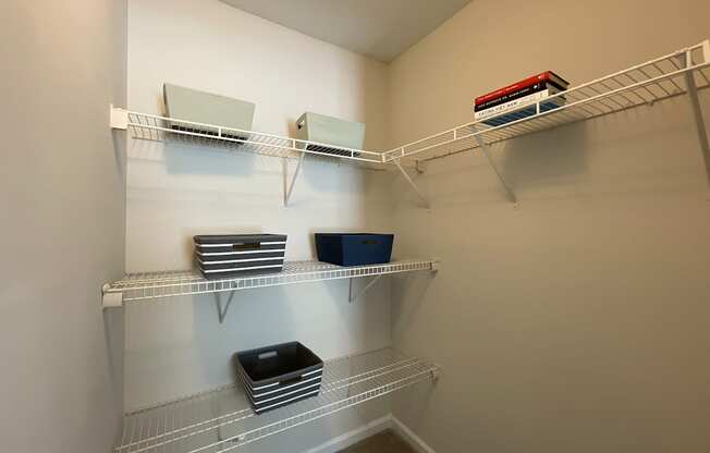 spacious closet at Palmetto Place, South Carolina