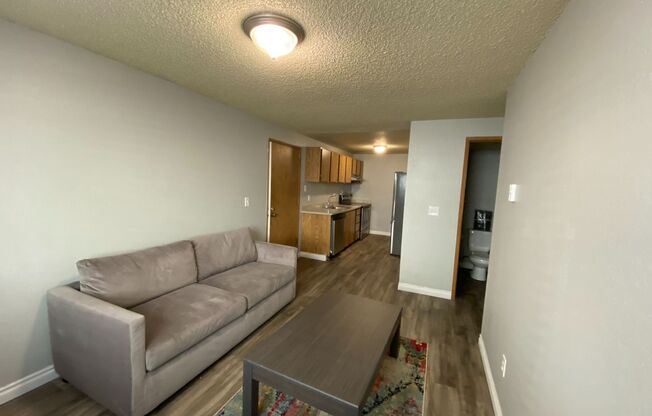 3 beds, 2 baths, 643 sqft, $2,450, Unit A105