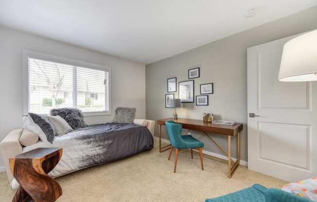 Spare Bedroom with Gray Daybed, Carpet, Wood Table, Turquoise Chairs and Windows