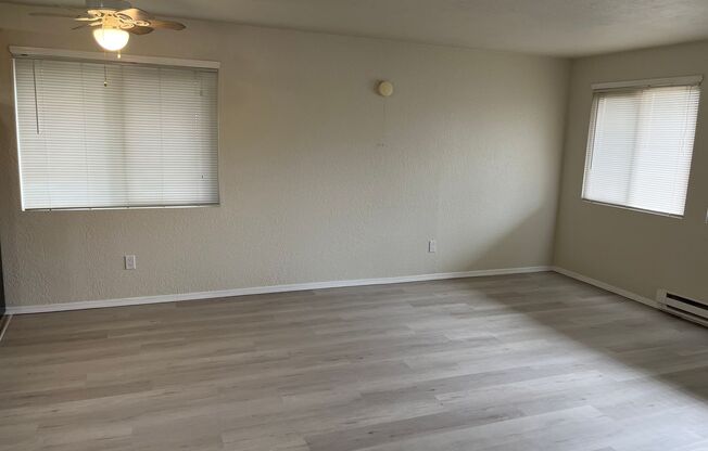 1 bed, 1 bath, $1,695