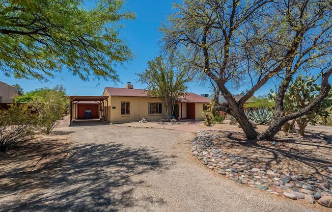 Great Central Location- Spacious & charming 3 bdrm/2 bath, minutes from UA/Downtown!