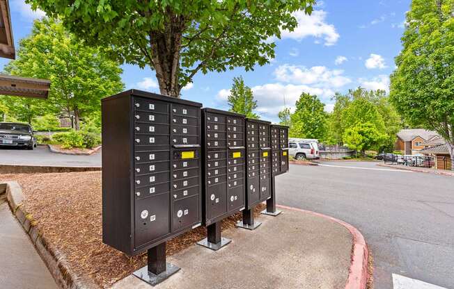 A series of parking meters are lined up on the side of a road.