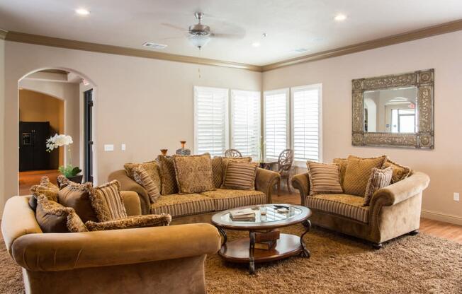 Clubhouse Area with Furniture