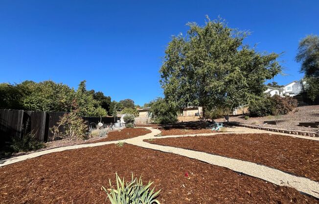 Paso's Gem! Single level 4 Bedroom Lots of Amenities, in Paso Robles!