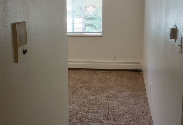 1 bed, 1 bath, $1,000