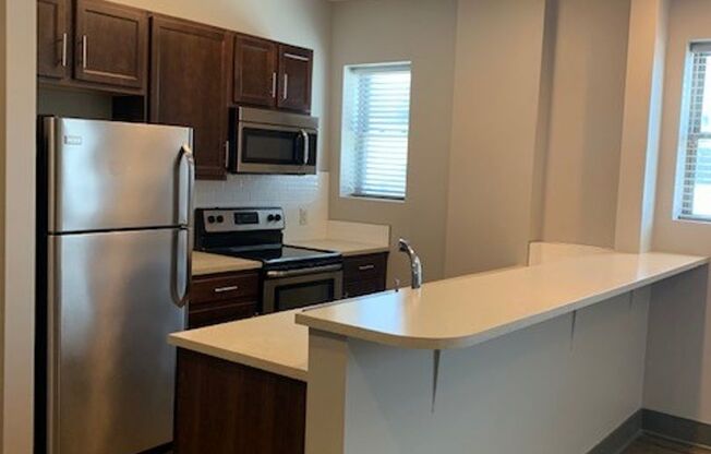 1 bed, 1 bath, 561 sqft, $1,000, Unit 207