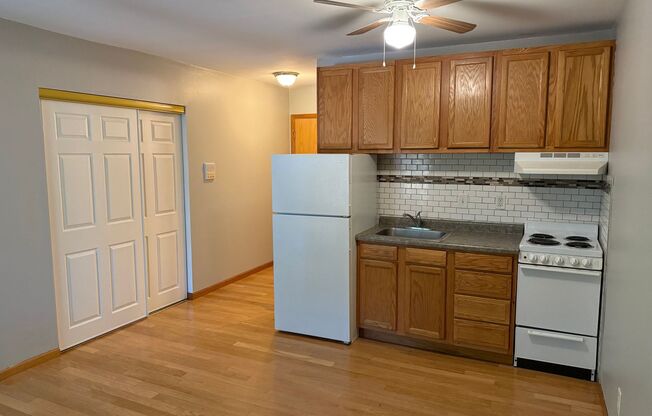 Studio, 1 bath, 350 sqft, $1,100, Unit Unit 309