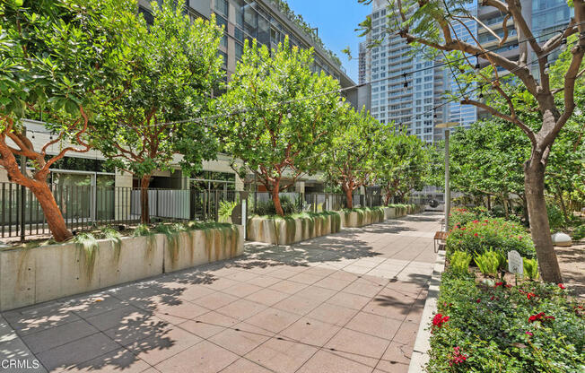 1 bed, 1 bath, 860 sqft, $3,000, Unit 914