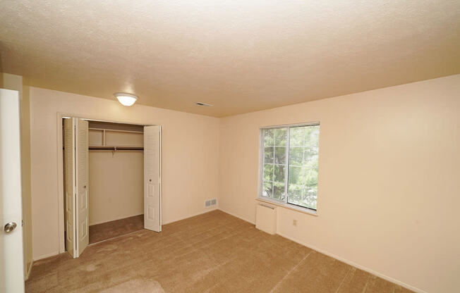 Large Bedroom Closet at Irish Hills Apartments, South Bend