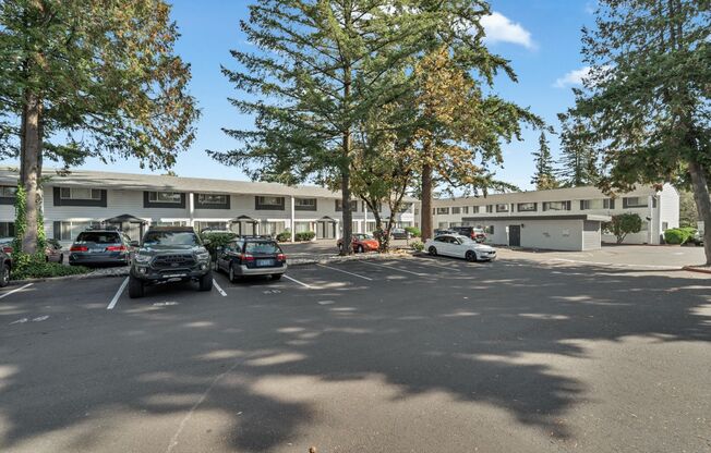 1 bed, 1 bath, 620 sqft, $1,250, Unit 29