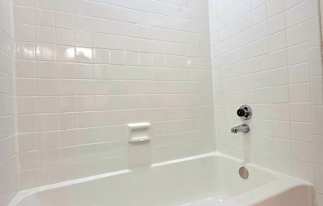 1 bed, 1 bath, 617 sqft, $899