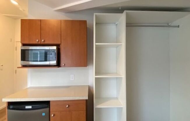 Studio, 1 bath, 175 sqft, $1,195, Unit 4517