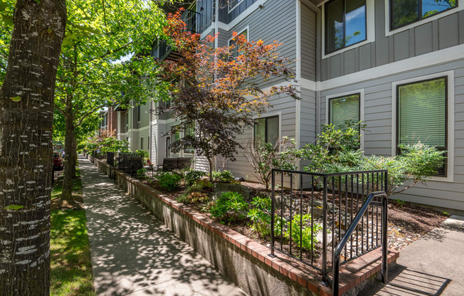 front yard of an apartment building with a sidewalk and trees