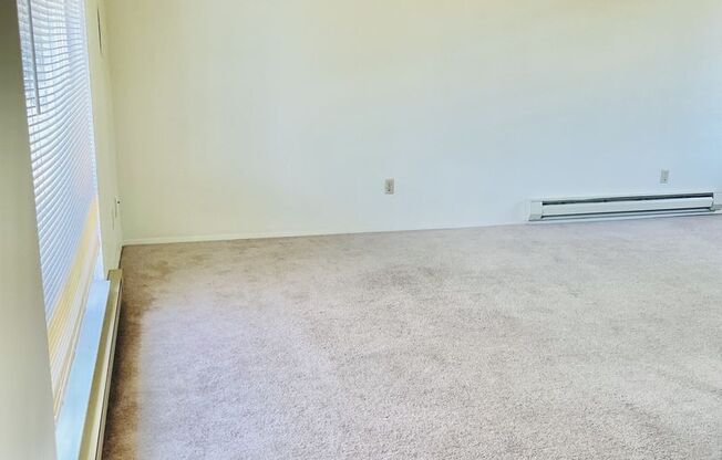 1011-1015 E. Illinois St.