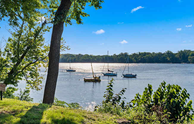 A serene lake with boats and trees in the background.