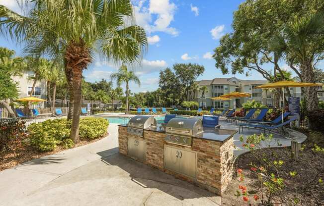 A pool area with a stone wall and a palm tree.