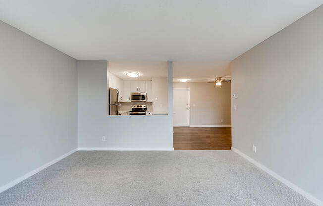 Partial Wall Separating the Kitchen and Living Room