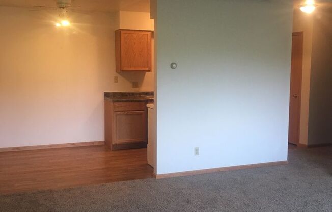 1 bed, 1 bath, $725